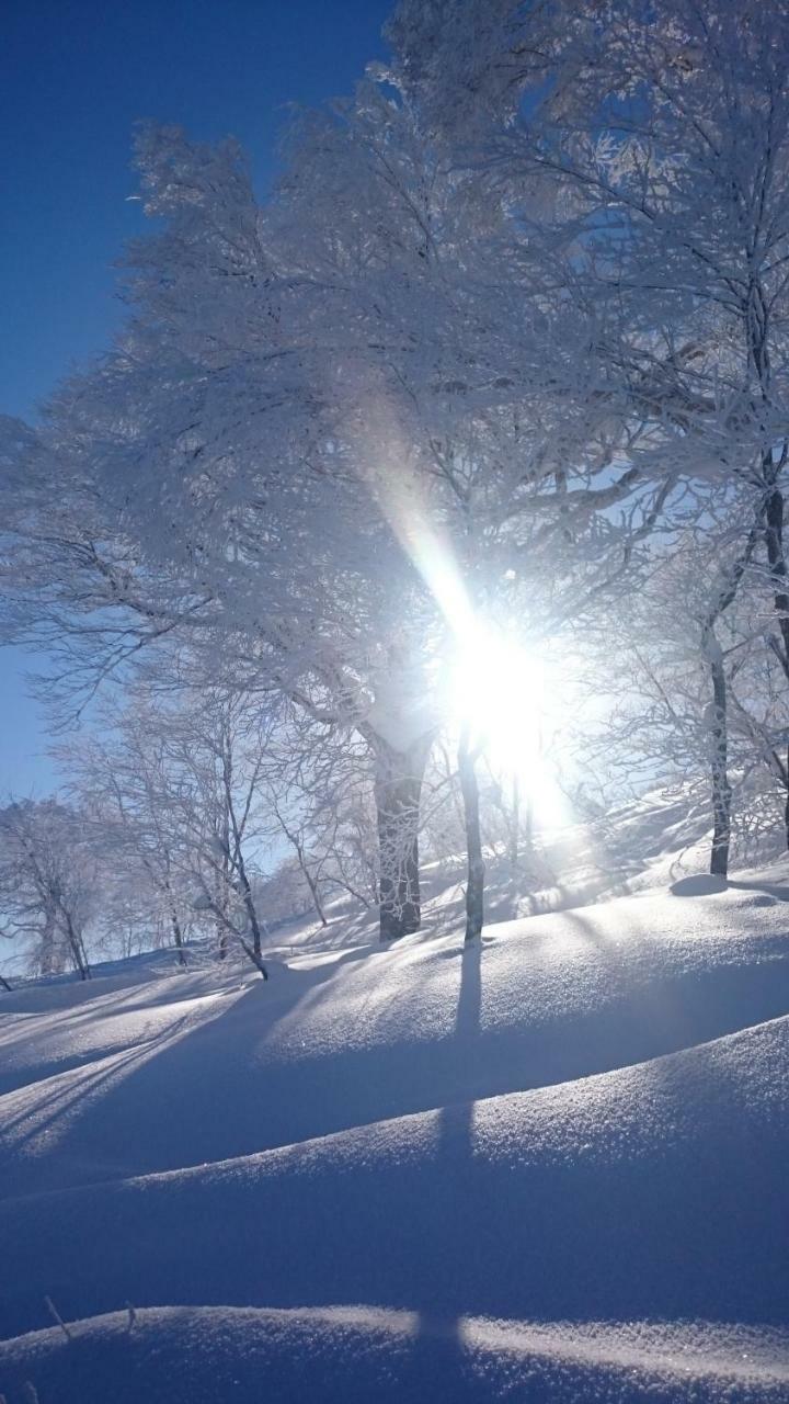 Nozawa Dream Central Екстер'єр фото