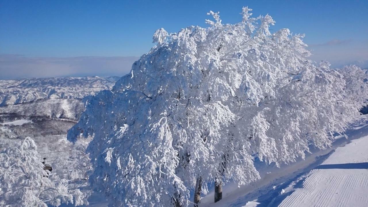 Nozawa Dream Central Екстер'єр фото