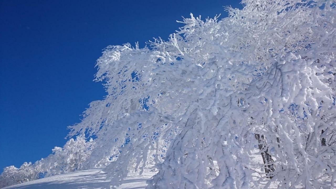 Nozawa Dream Central Екстер'єр фото